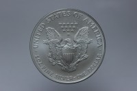 USA DOLLARO LIBERTY EAGLE 2003 FDC