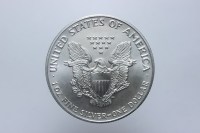 USA DOLLARO LIBERTY EAGLE 1990 FDC
