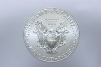 USA DOLLARO LIBERTY EAGLE 2013 FDC