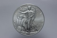 USA DOLLARO LIBERTY EAGLE 2011 FDC