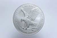 USA DOLLARO AMERICAN EAGLE 2024 FDC
