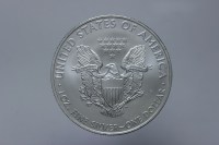USA DOLLARO LIBERTY EAGLE 2009 FDC